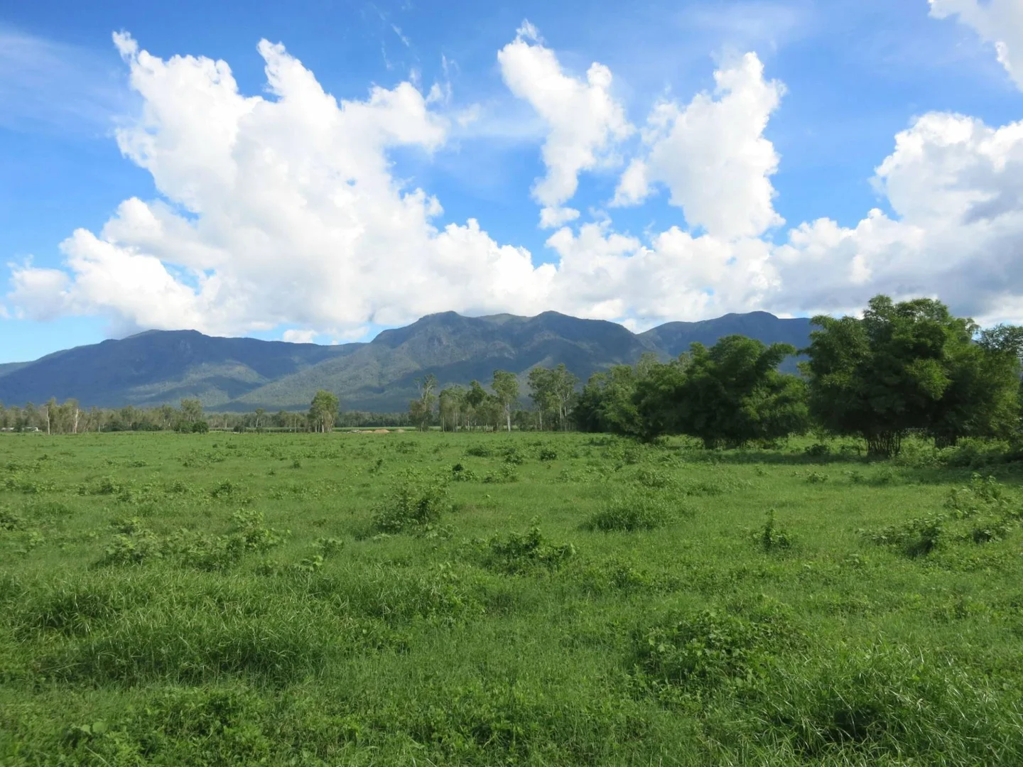 Additional image 4 of Lot 1 Ellerbeck Road, Carruchan QLD 4816