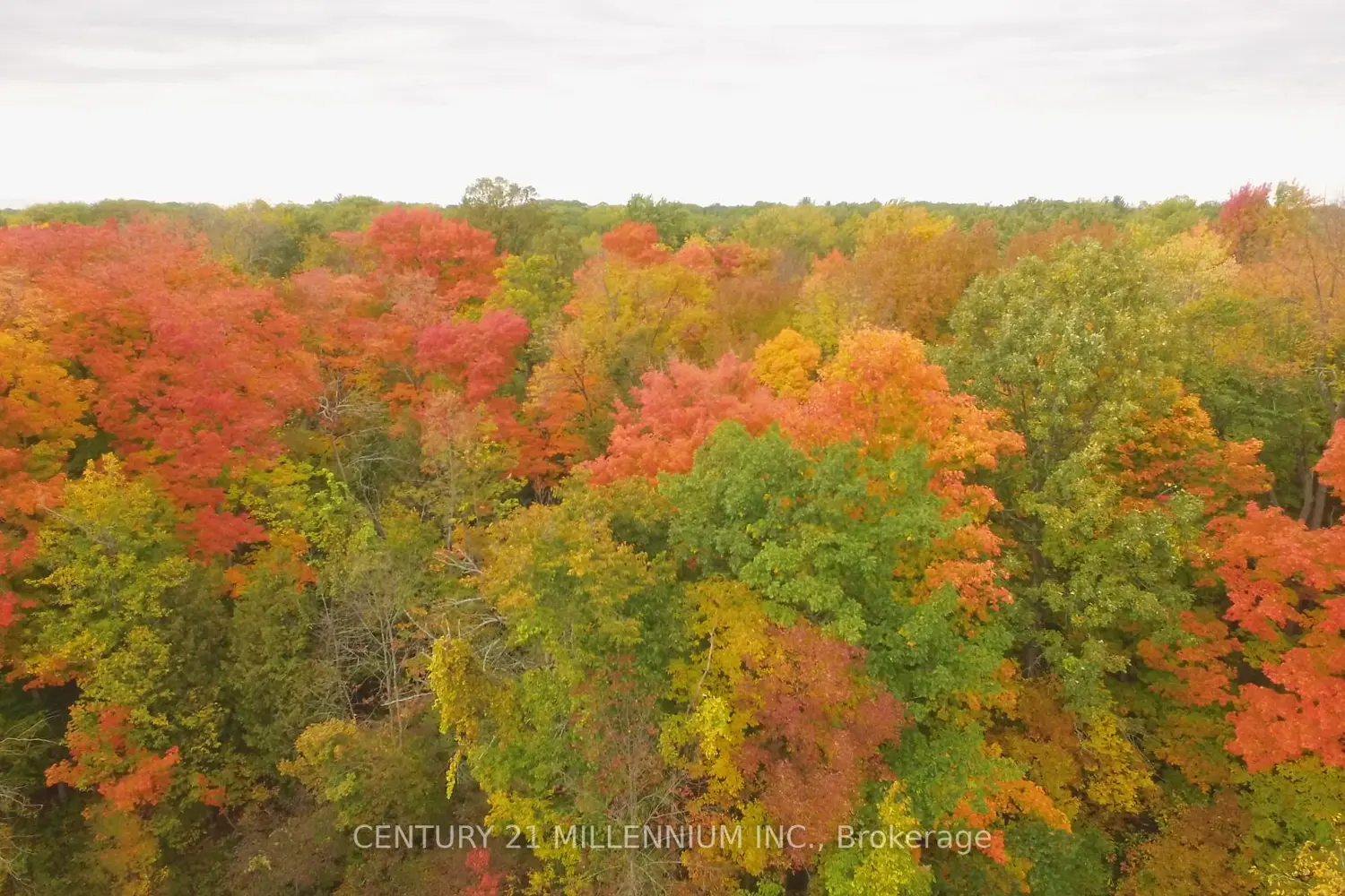 Additional image 8 of 11 Knox Road