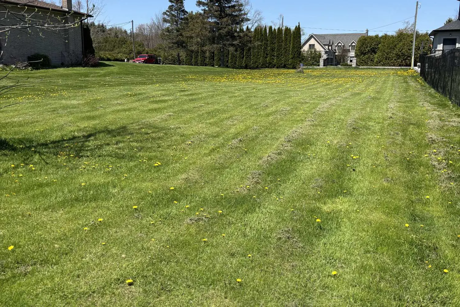 Additional image 2 of 7657 Black River Road