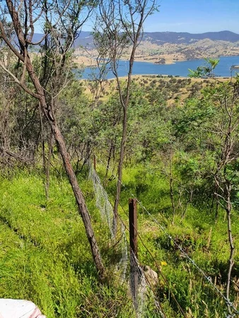 Additional image 14 of 8010 River Road, Talmalmo NSW 2640