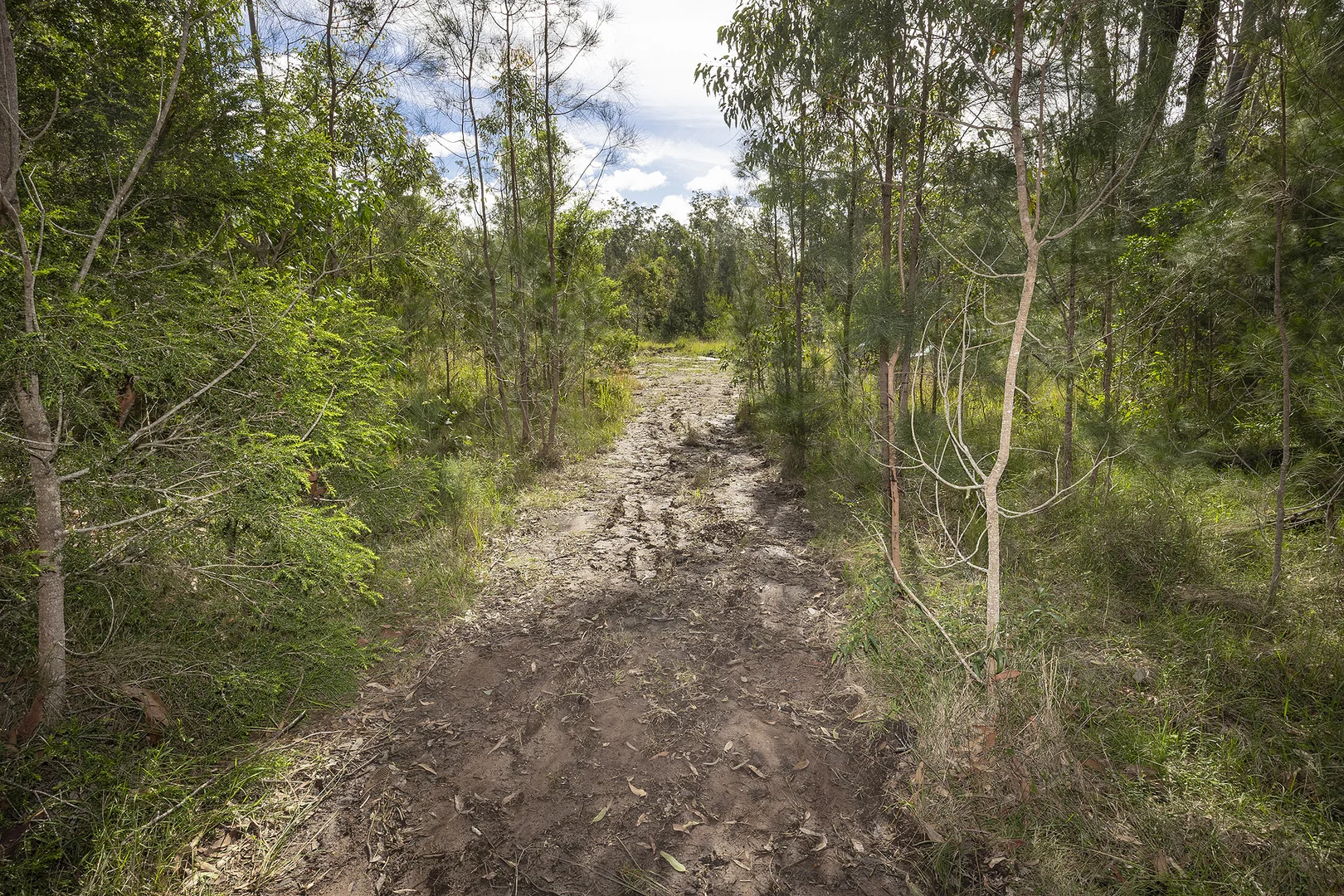 Additional image 21 of 538 Locketts Crossing Rd, Coolongolook NSW 2423