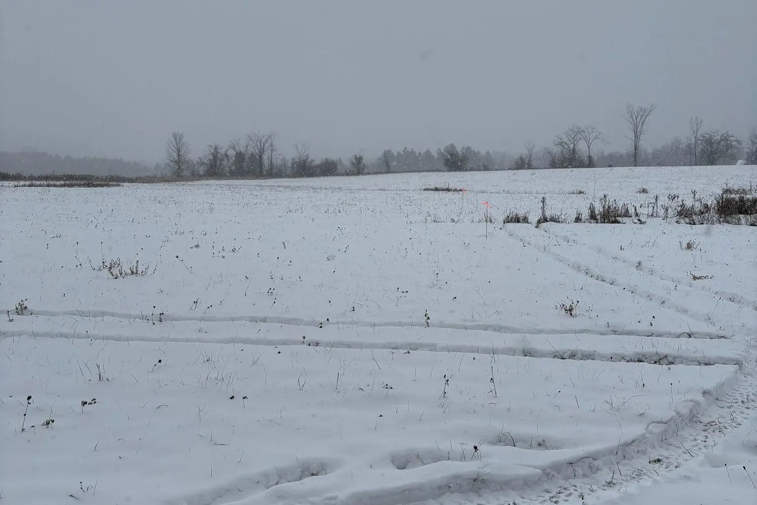 Additional image 10 of 0 Cooney Island Road