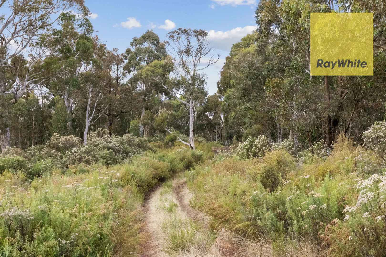 Additional image 4 of 1013 Bigga Road, Crooked Corner NSW 2583