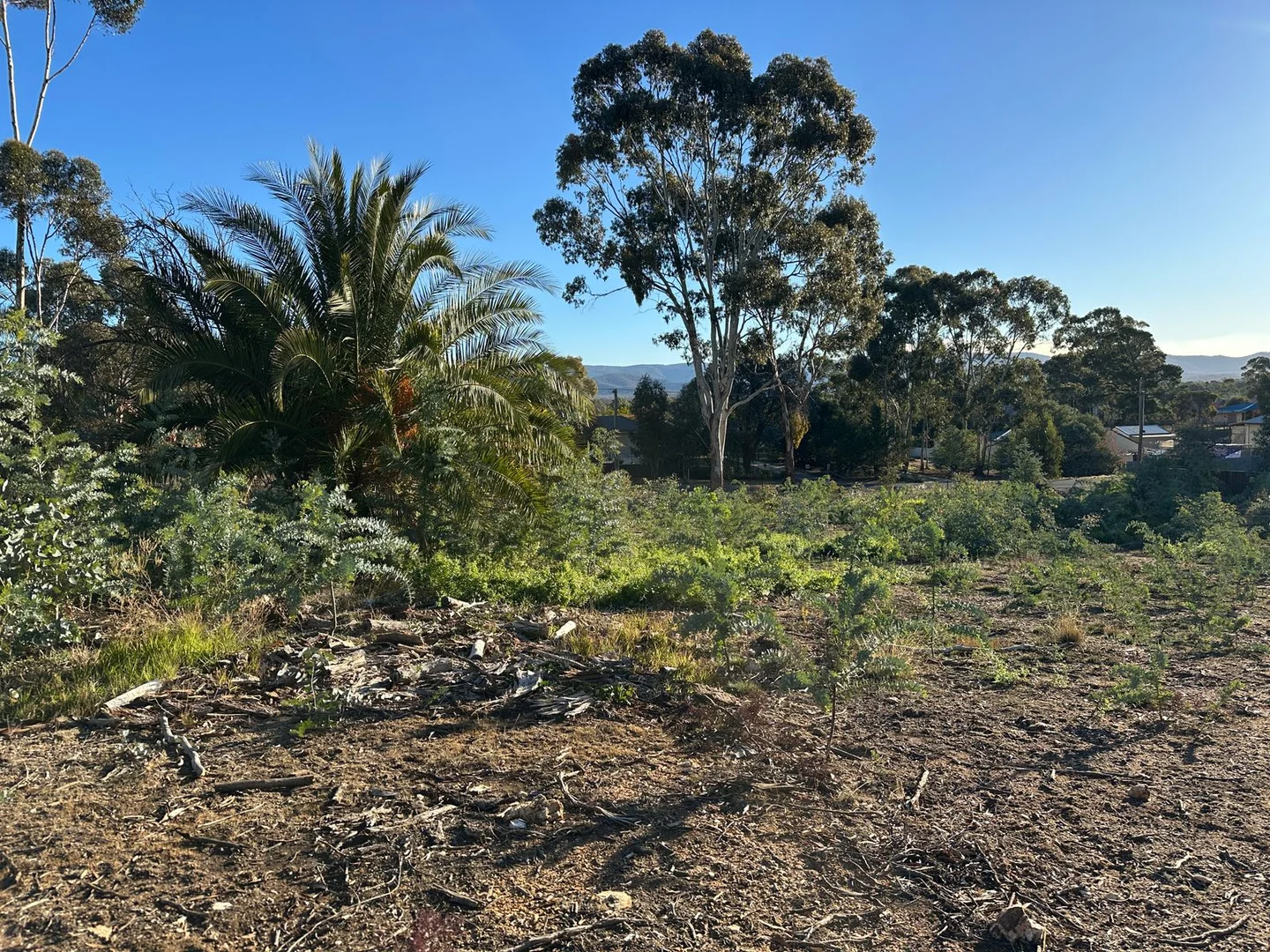 Additional image 6 of 50 Boyce Street, Avoca VIC 3467