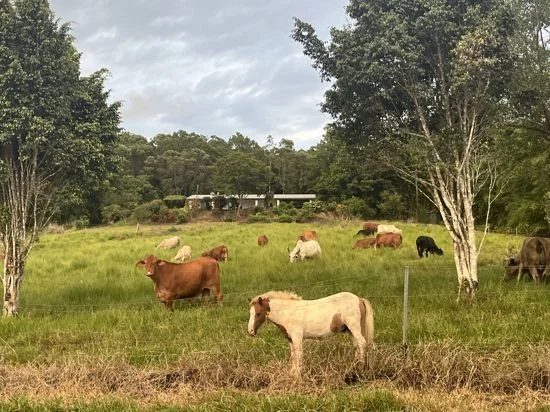 Additional image 2 of 5 Dobbin Road, Warrubullen QLD 4871