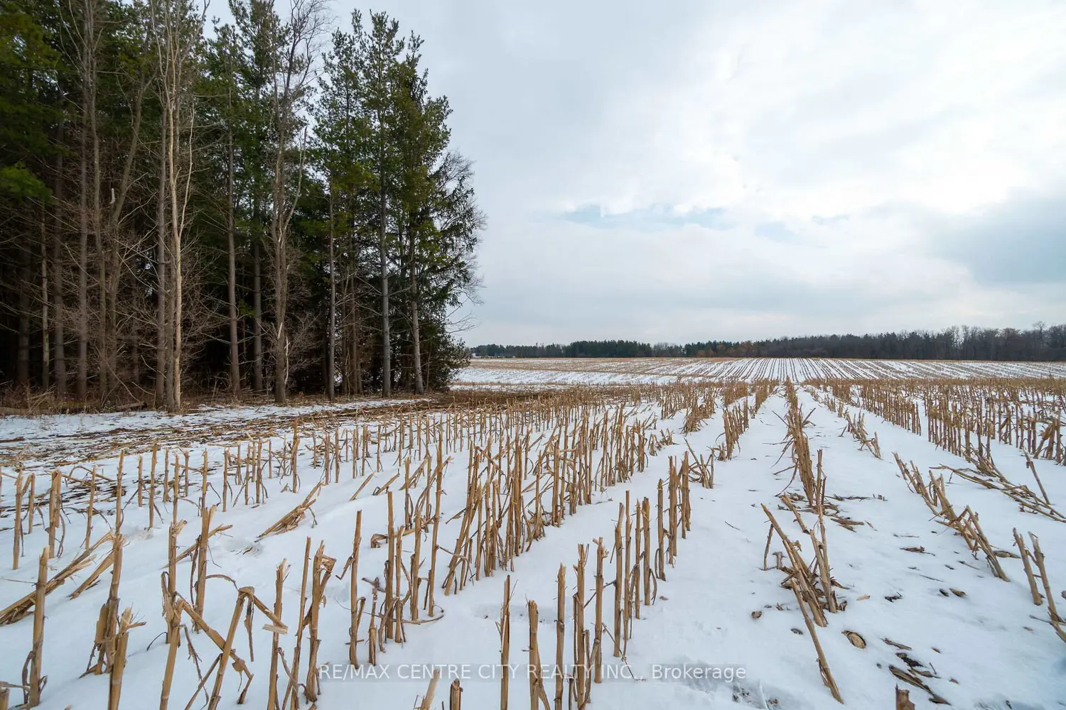 Additional image 15 of Pt Lt 24 Concession 5