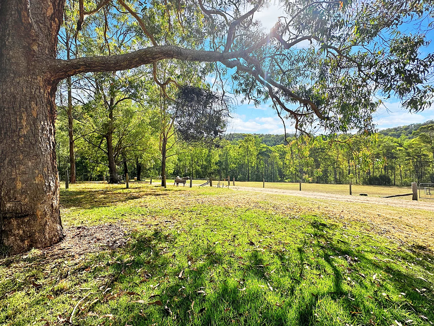 Additional image 27 of Laguna NSW 2325