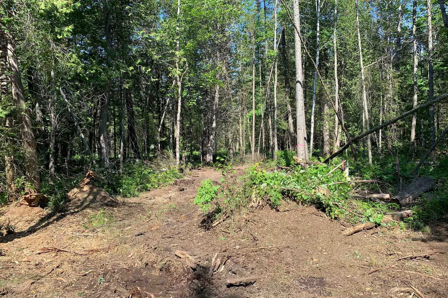 Additional image 3 of 522 Albert Street