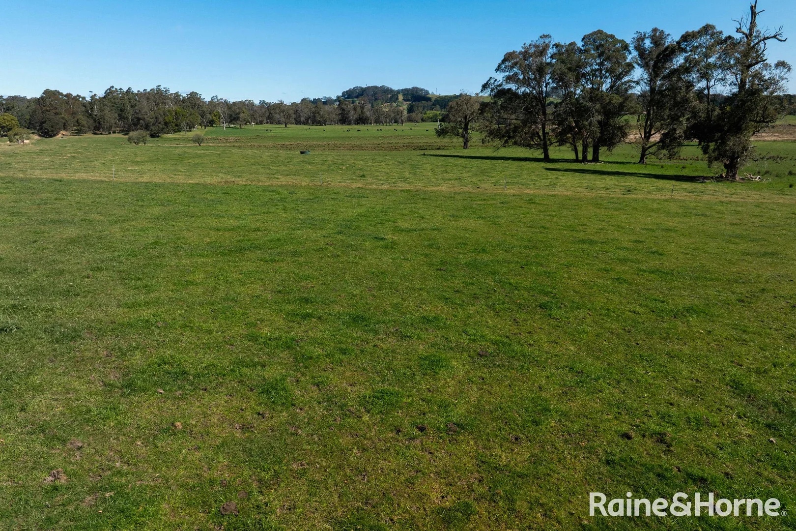 Additional image 6 of 5442 Illawarra Highway, Burrawang NSW 2577