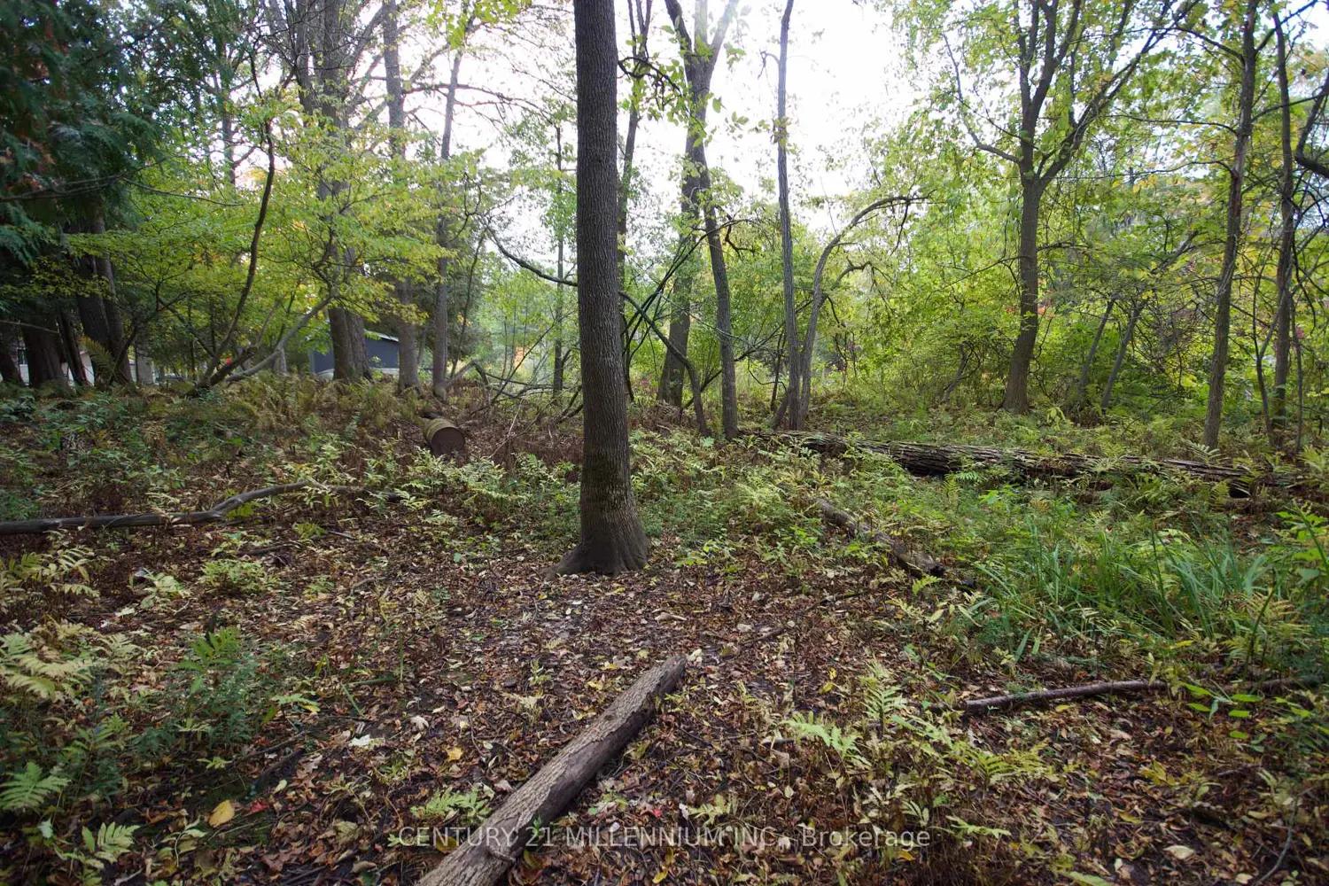 Additional image 3 of 11 Knox Road