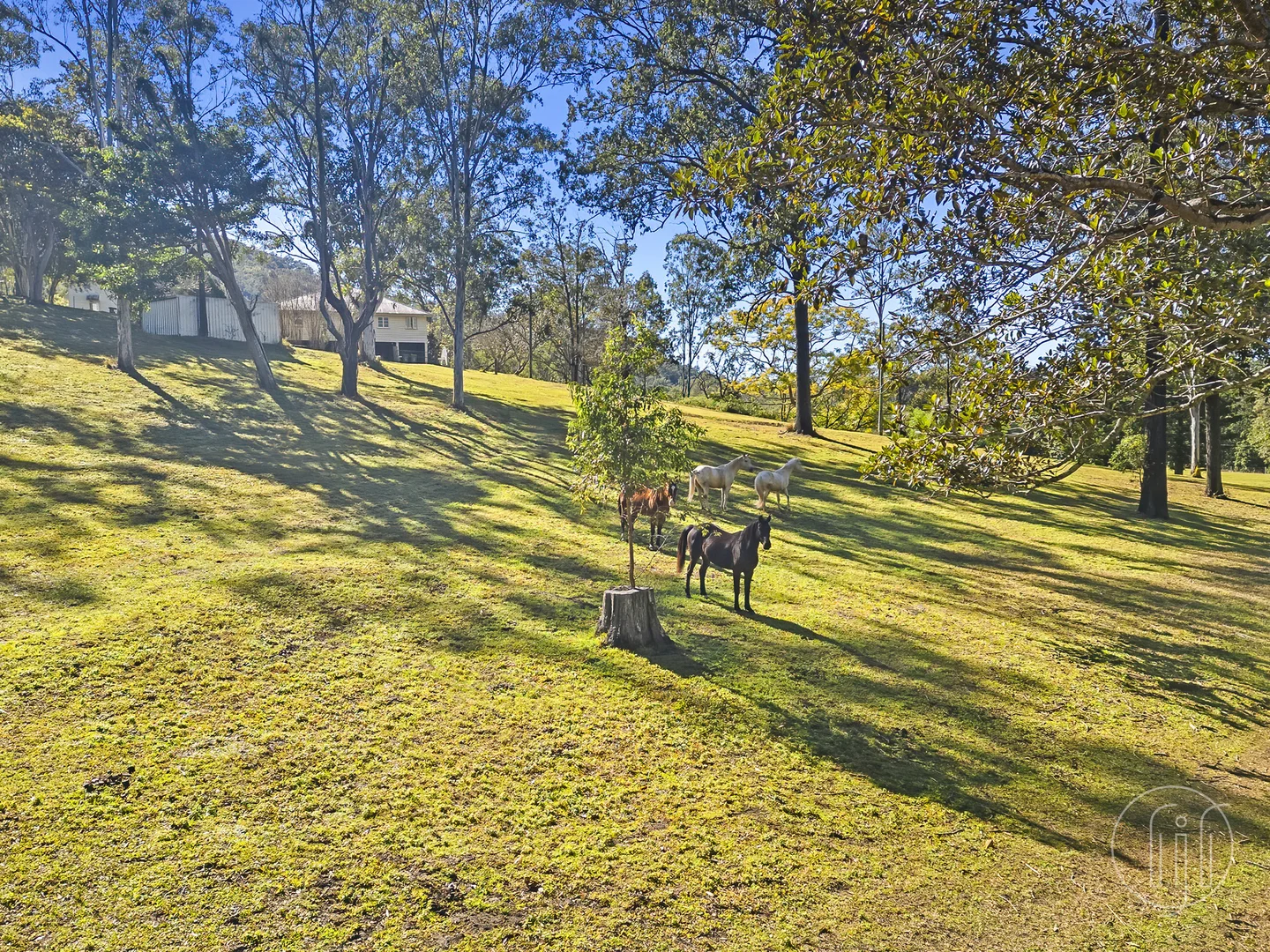 Additional image 24 of 44 Bella Creek Road, Bella Creek QLD 4570