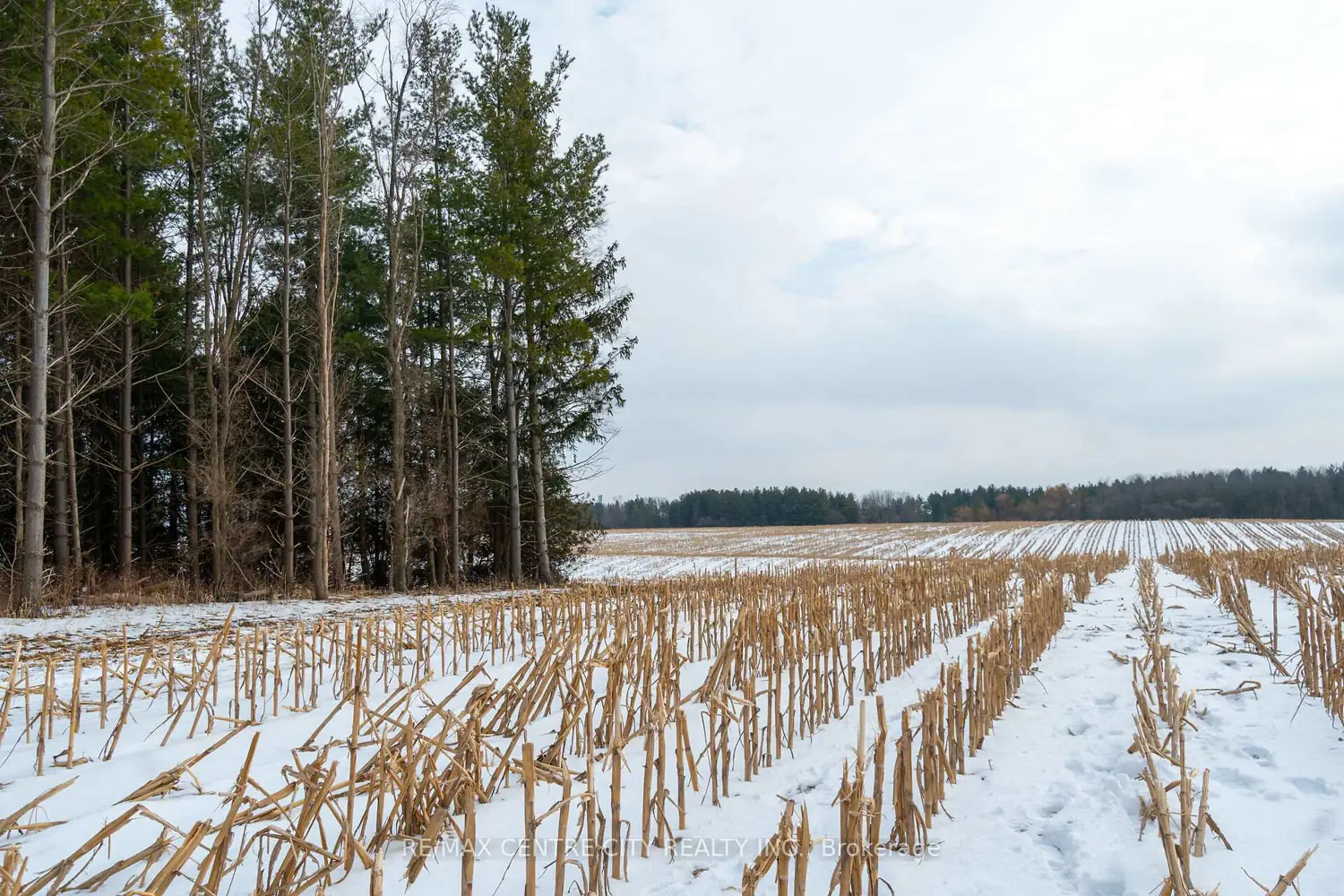 Additional image 16 of Pt Lt 24 Concession 5