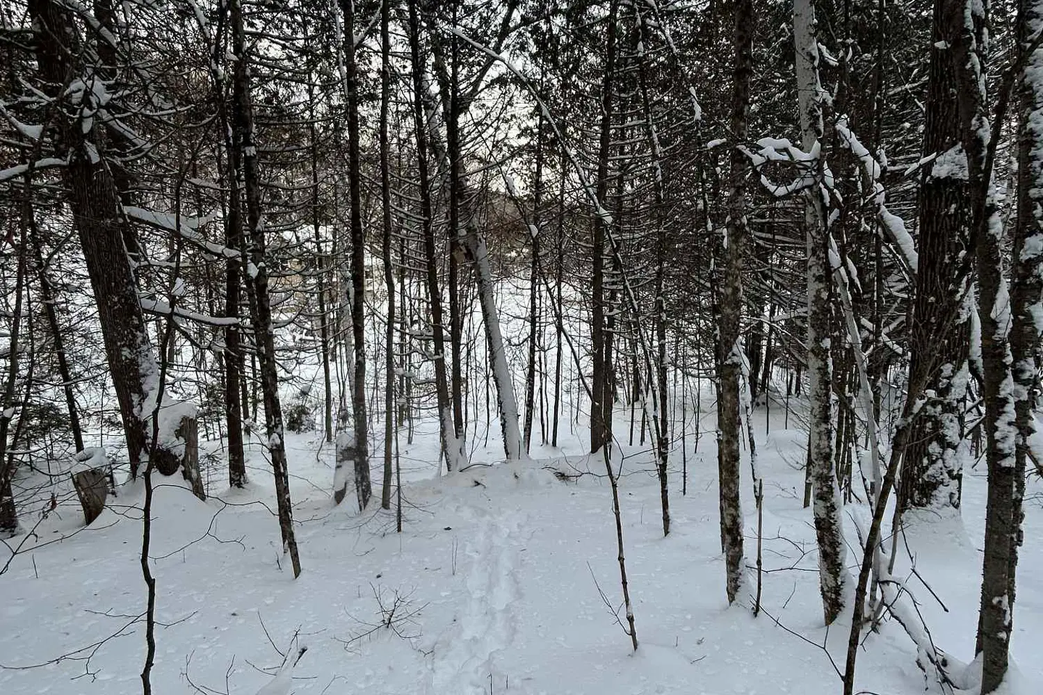 Additional image 3 of 0 Pineridge Road