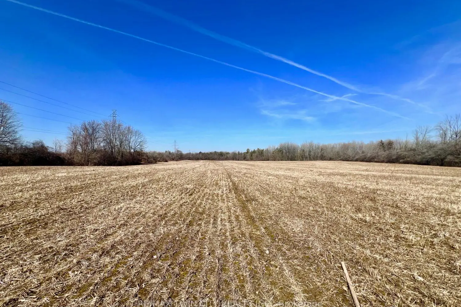 Additional image 3 of 2155 Main Street