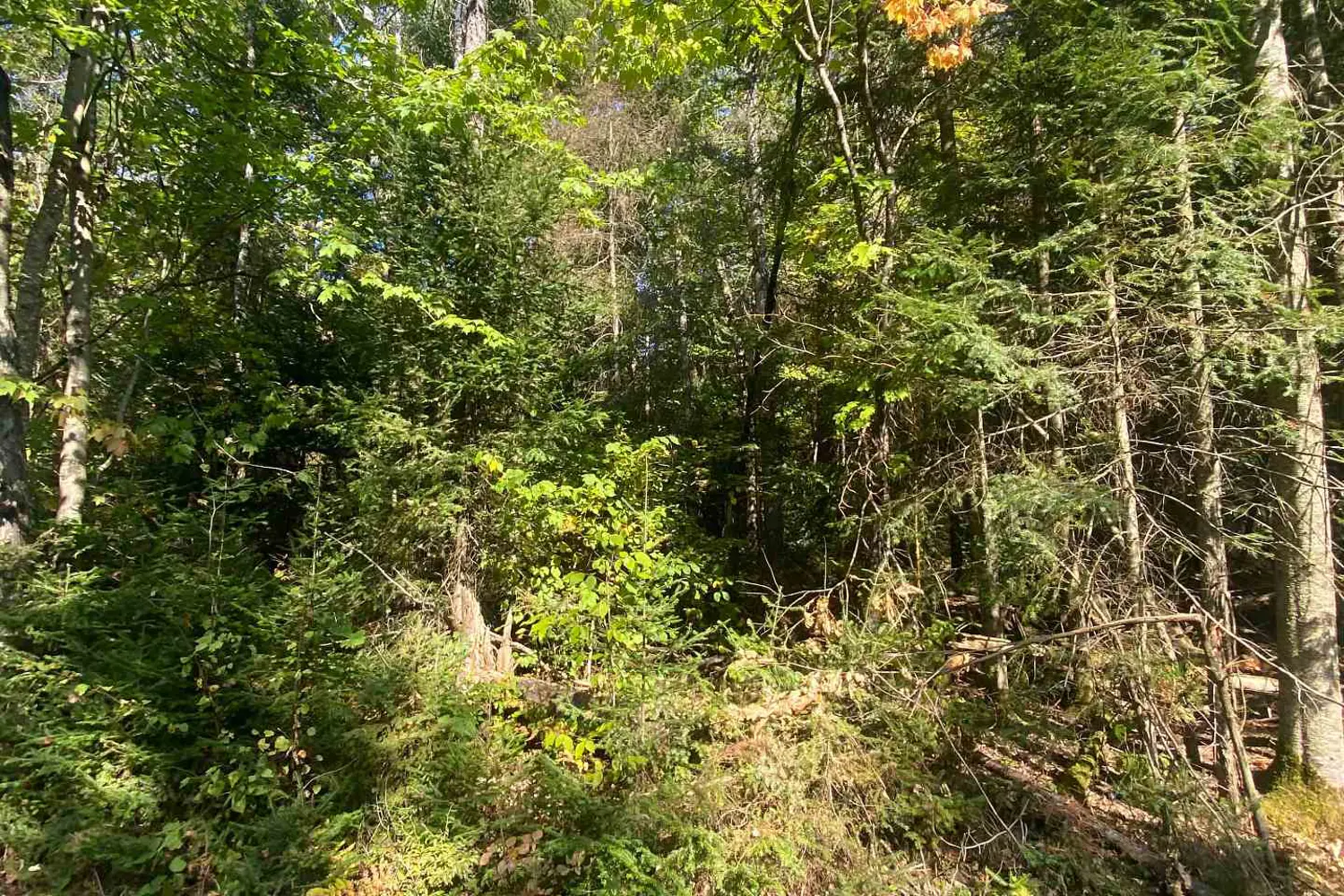 Additional image 3 of 0-1 So Ho Mish Road