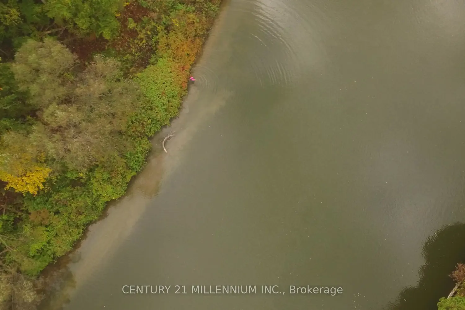 Additional image 6 of 11 Knox Road