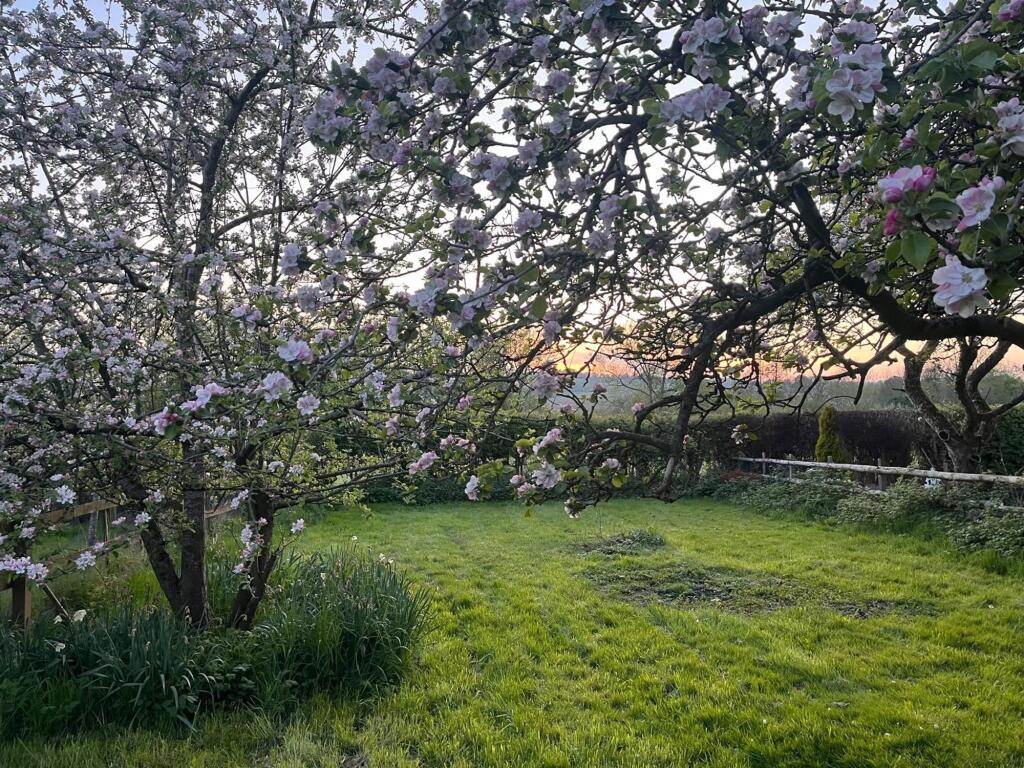 Additional image 20 of Redditch Road, Alvechurch, B48