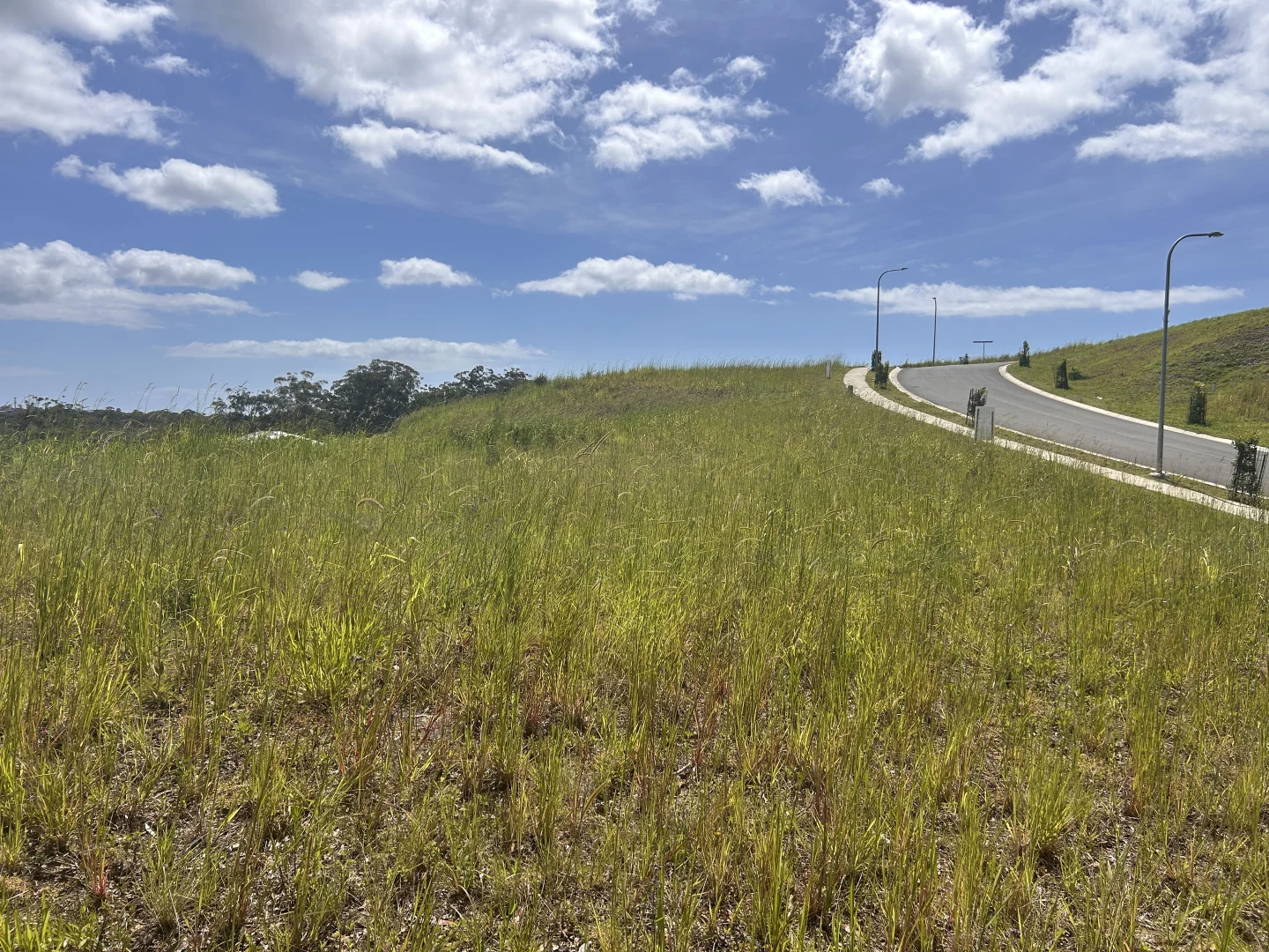 Additional image 8 of 15 Song Trl, Coffs Harbour NSW 2450