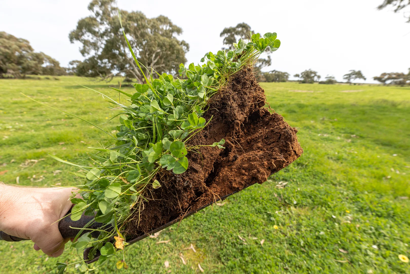 Additional image 3 of 18462 Princes Highway, Kingston Se SA 5275