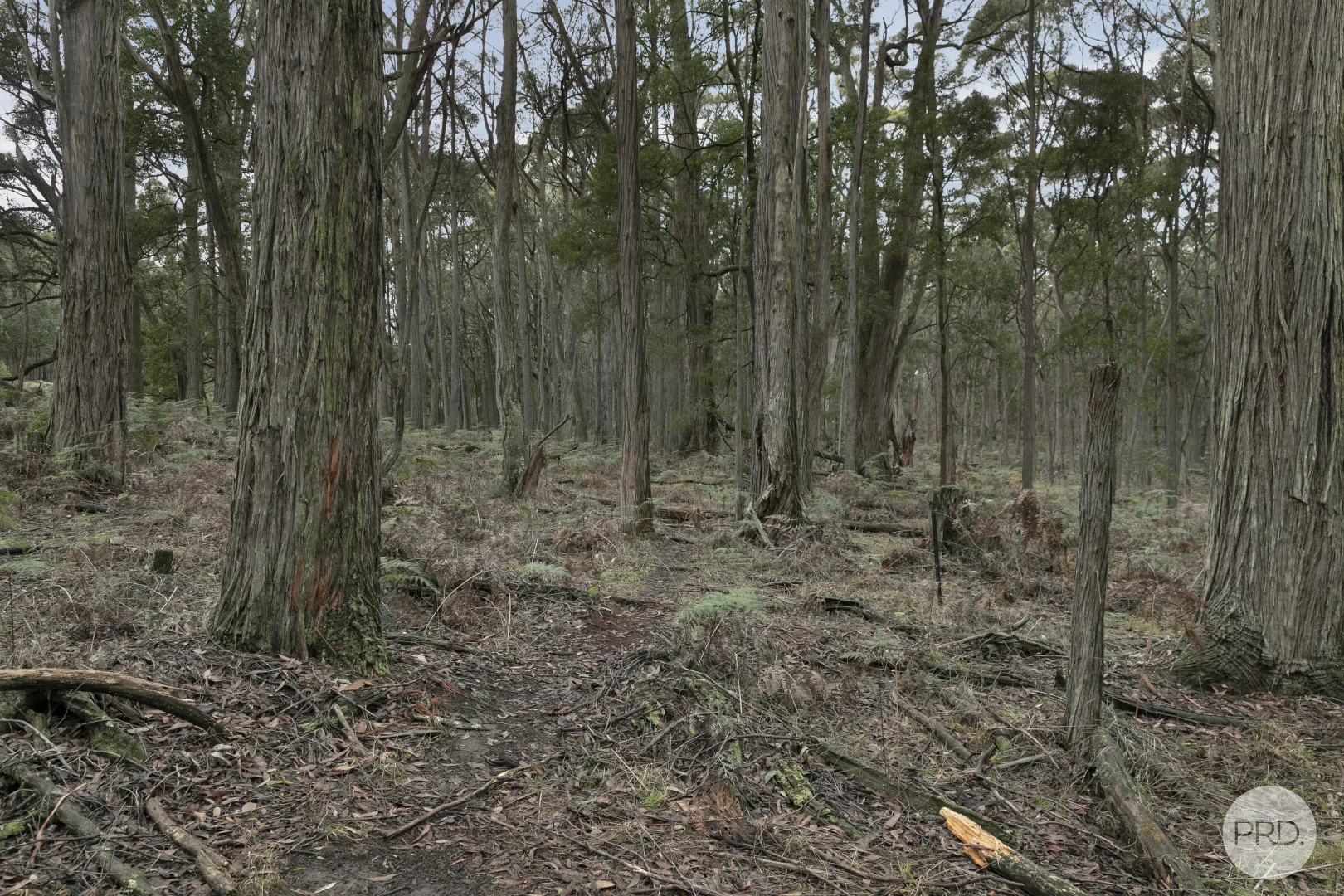 Additional image 3 of Lot 4 Haydens Hill Road, Gordon VIC 3345