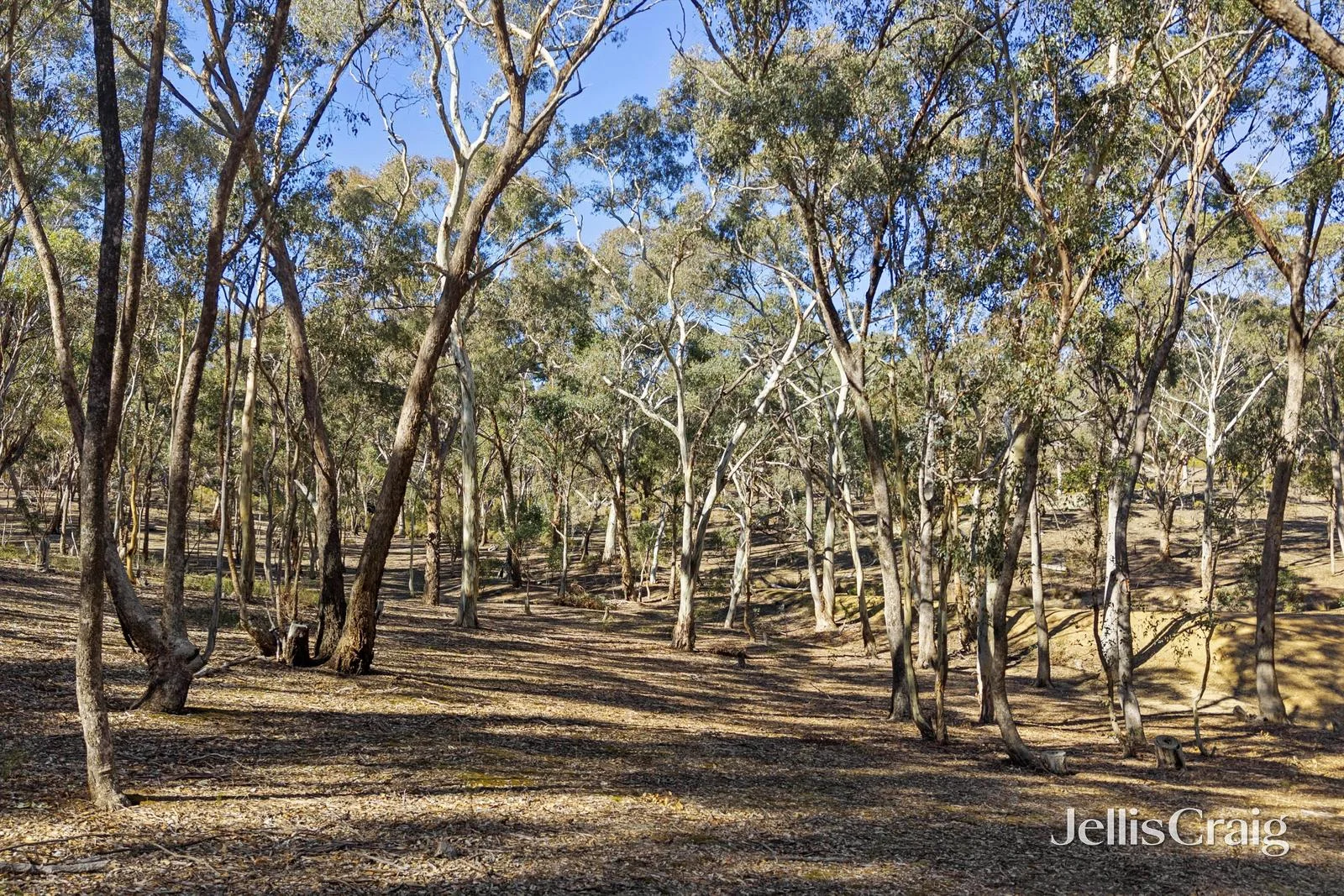 Additional image 3 of 27 Palmerston Street, Newstead VIC 3462