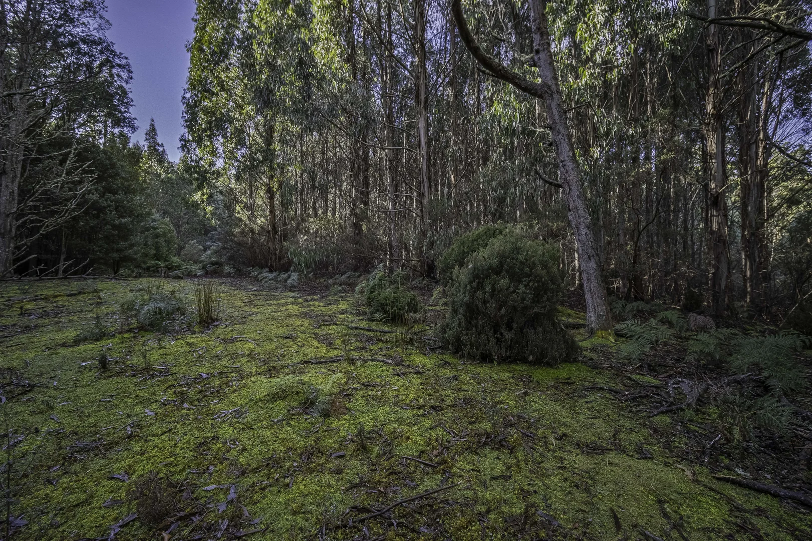 Additional image 15 of Judbury TAS 7109