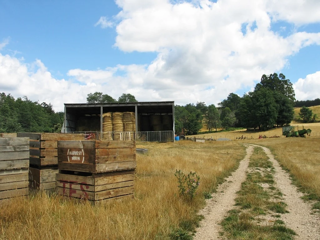 Additional image 35 of 148 Holmes Road, Roland TAS 7306