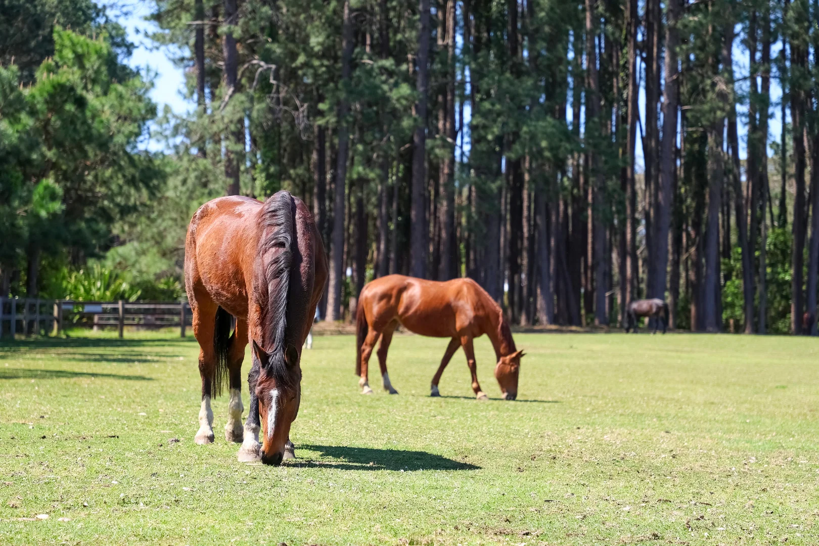 Additional image 20 of 161 Grants Road, Somersby NSW 2250