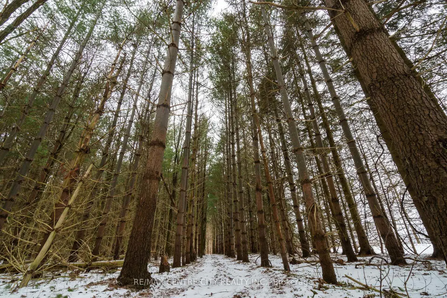 Additional image 13 of Pt Lt 24 Concession 5