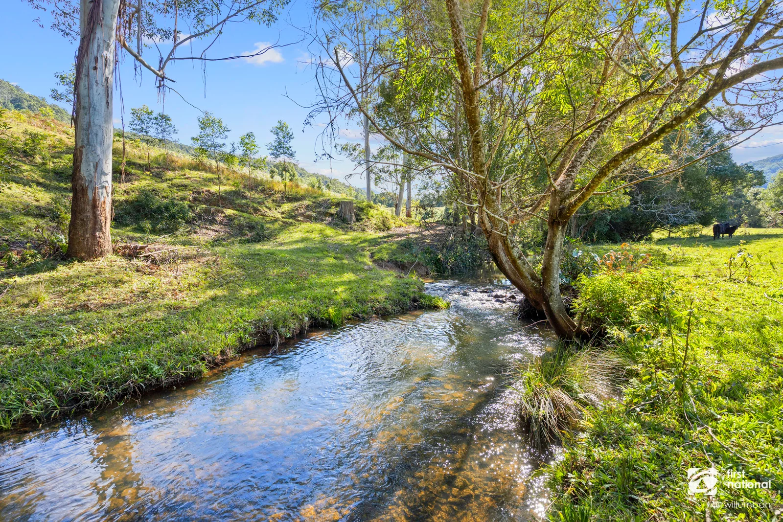 Additional image 20 of 584 Nobbys Creek Road, Nobbys Creek NSW 2484