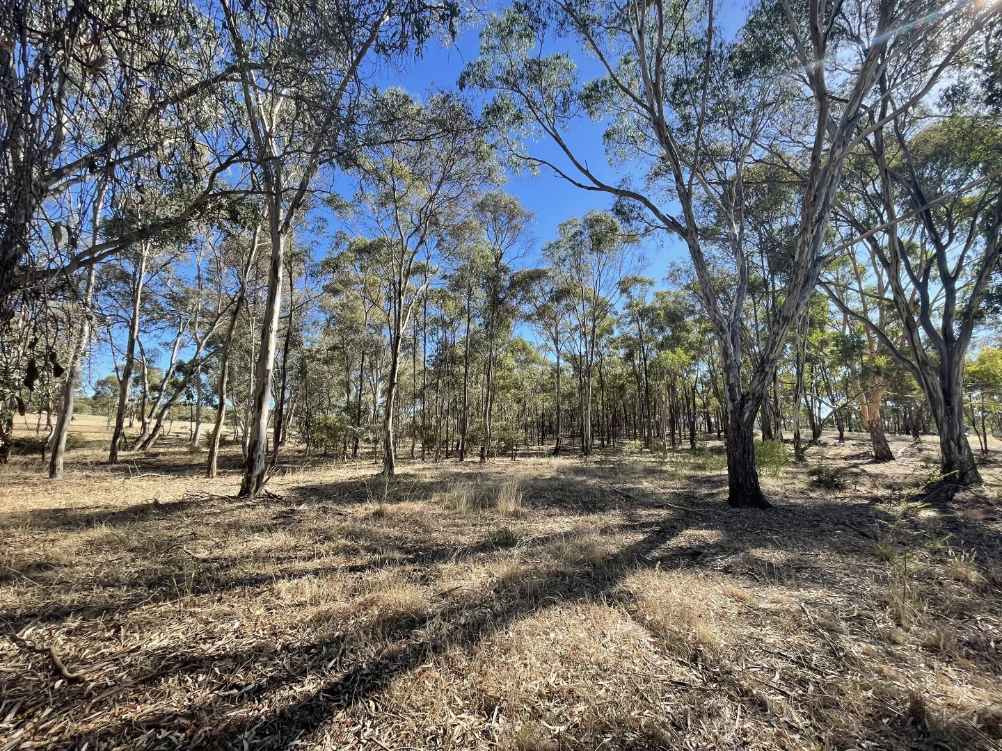 Additional image 15 of 1 Corner Wimmera Highway & Carr Road, St Arnaud VIC 3478