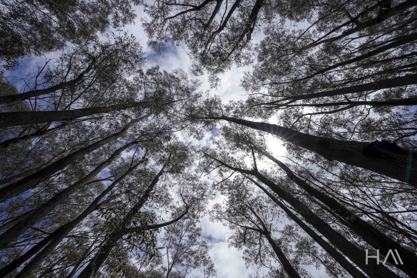 Additional image 6 of 301 Gardiners Creek Road, St Marys TAS 7215