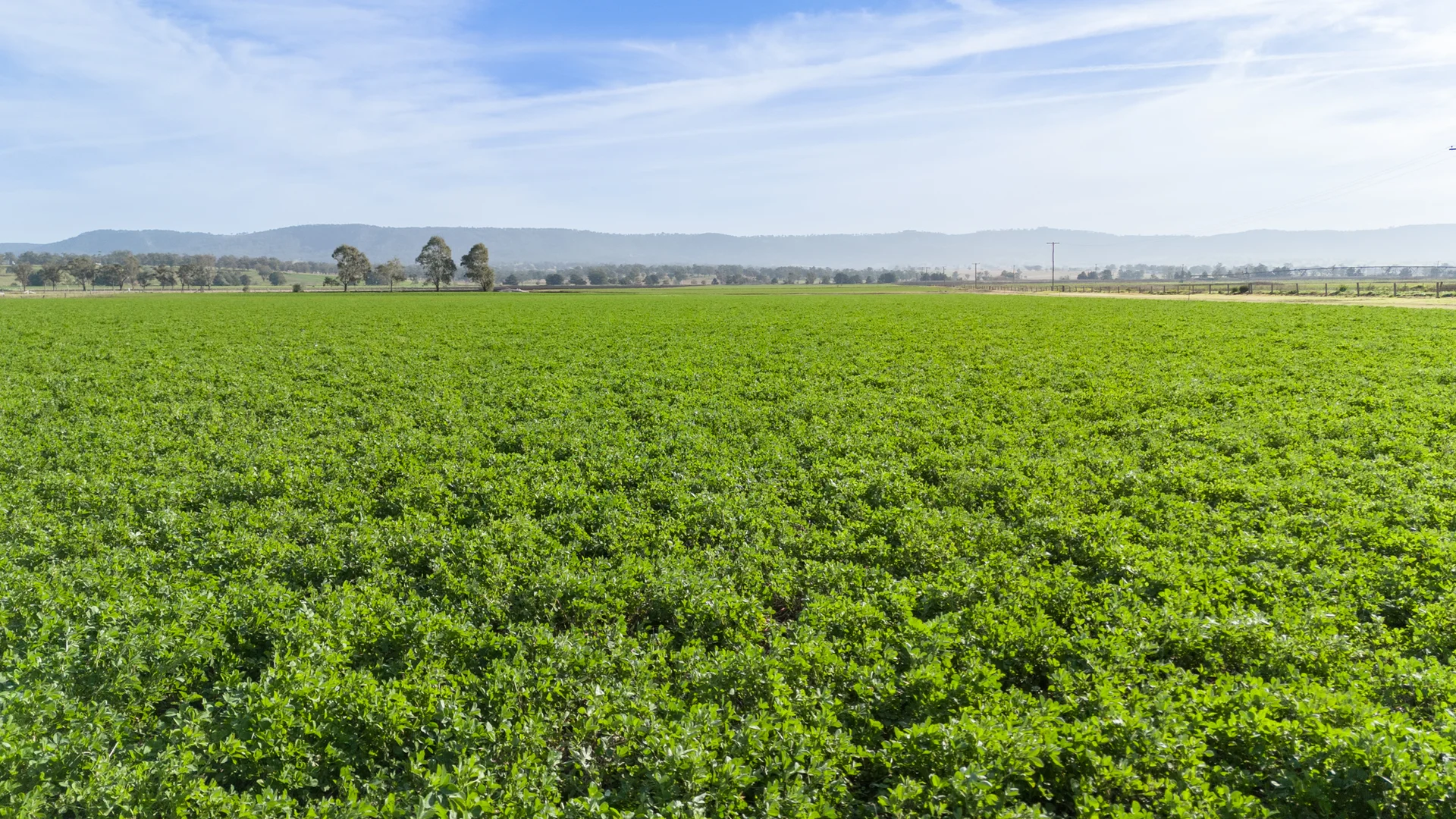 Additional image 9 of 'Billaroy' 395 Turanville Rd, Scone NSW 2337