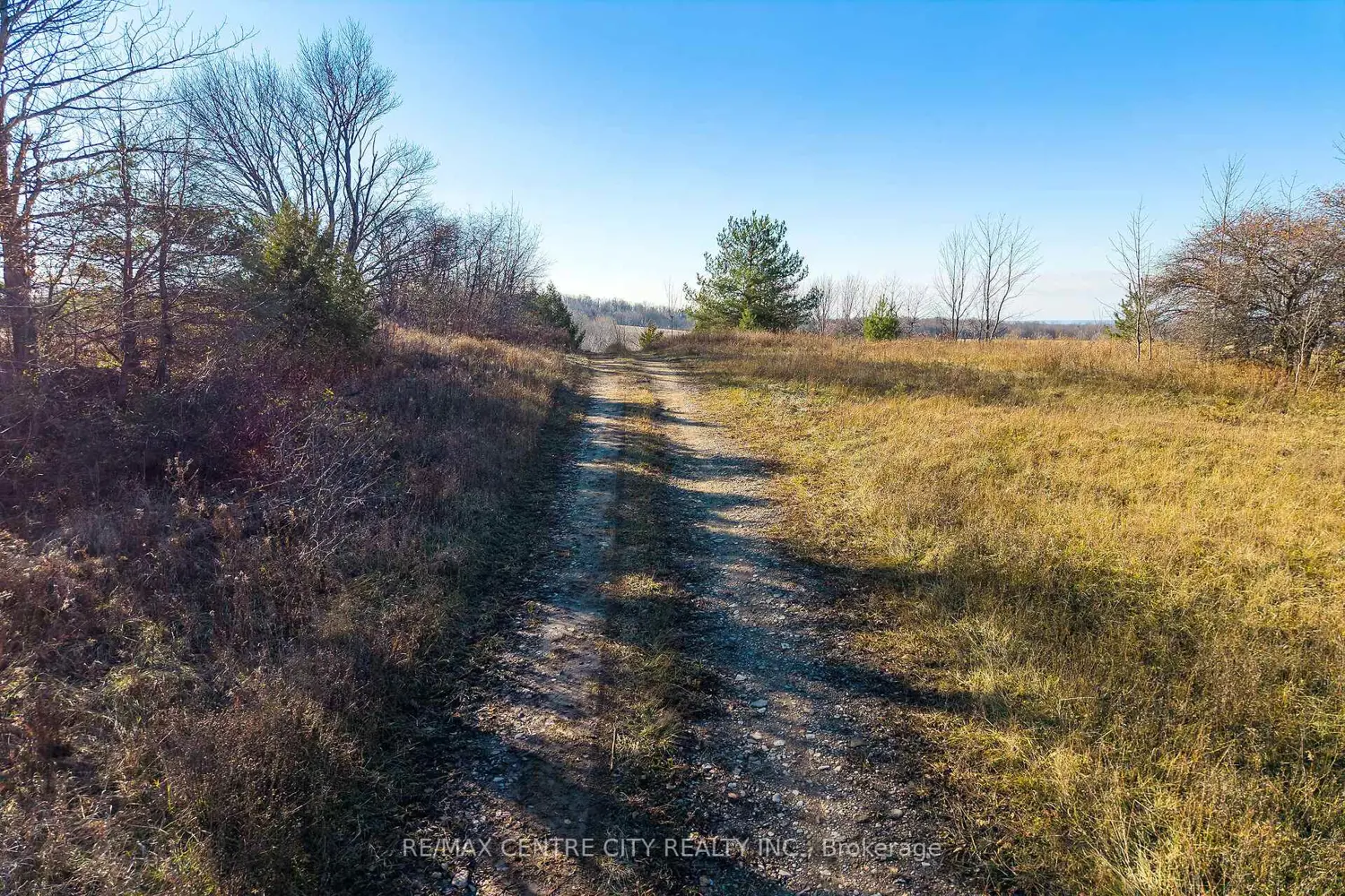 Additional image 15 of 137204 Grey Road 12