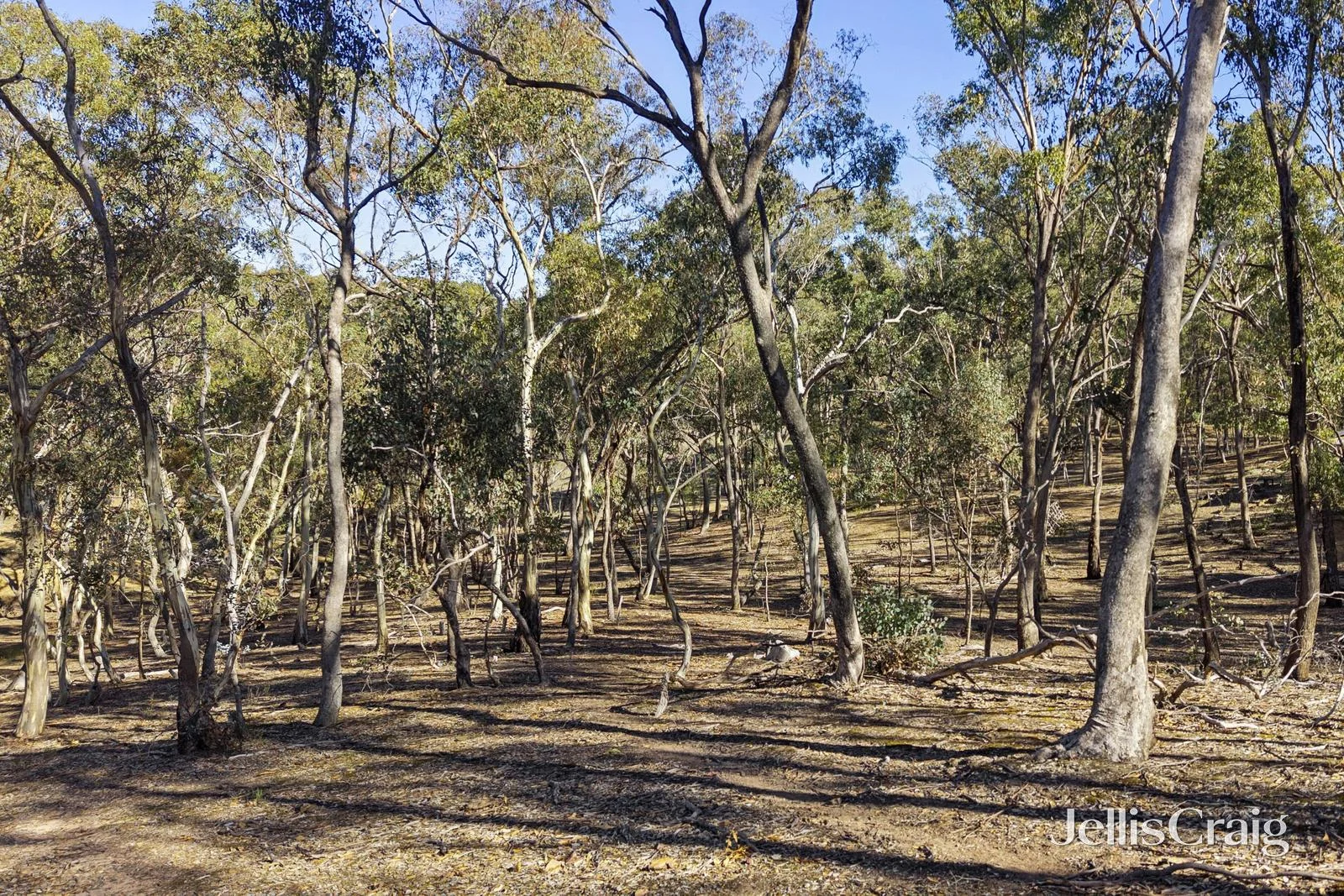 Additional image 6 of 27 Palmerston Street, Newstead VIC 3462