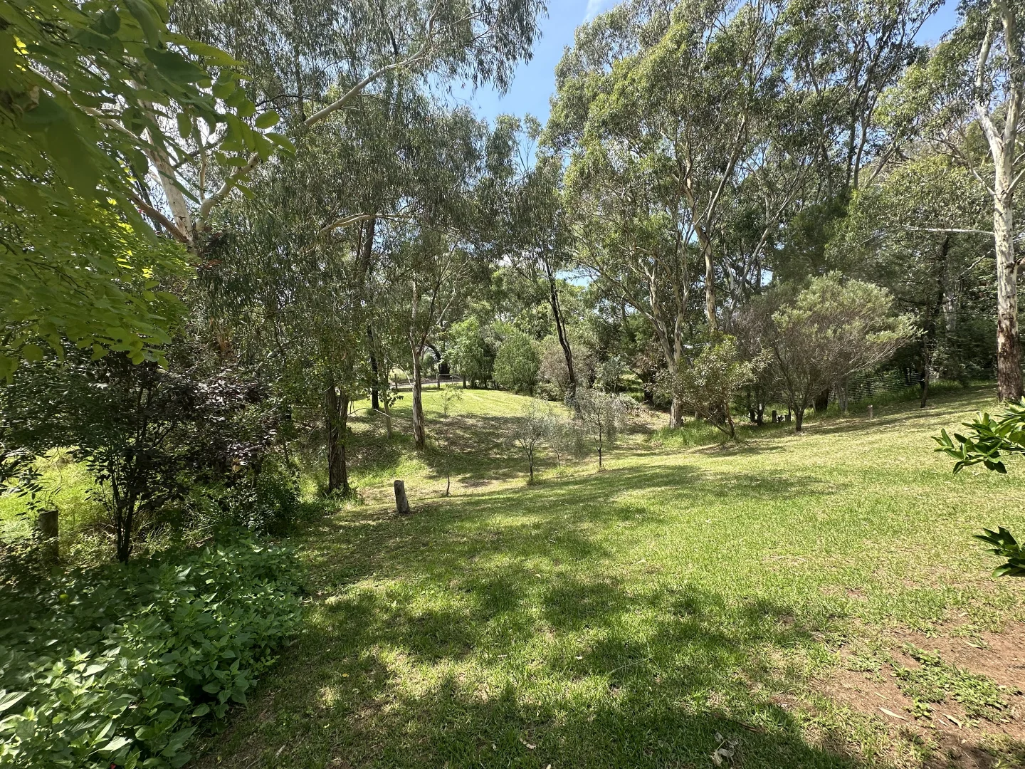 Additional image 32 of Cloudy Hill/82 Goddard Street, Coolah NSW 2843