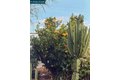 Additional image 51 of 6055 Majestic Ave, Oakland, CA, 94605