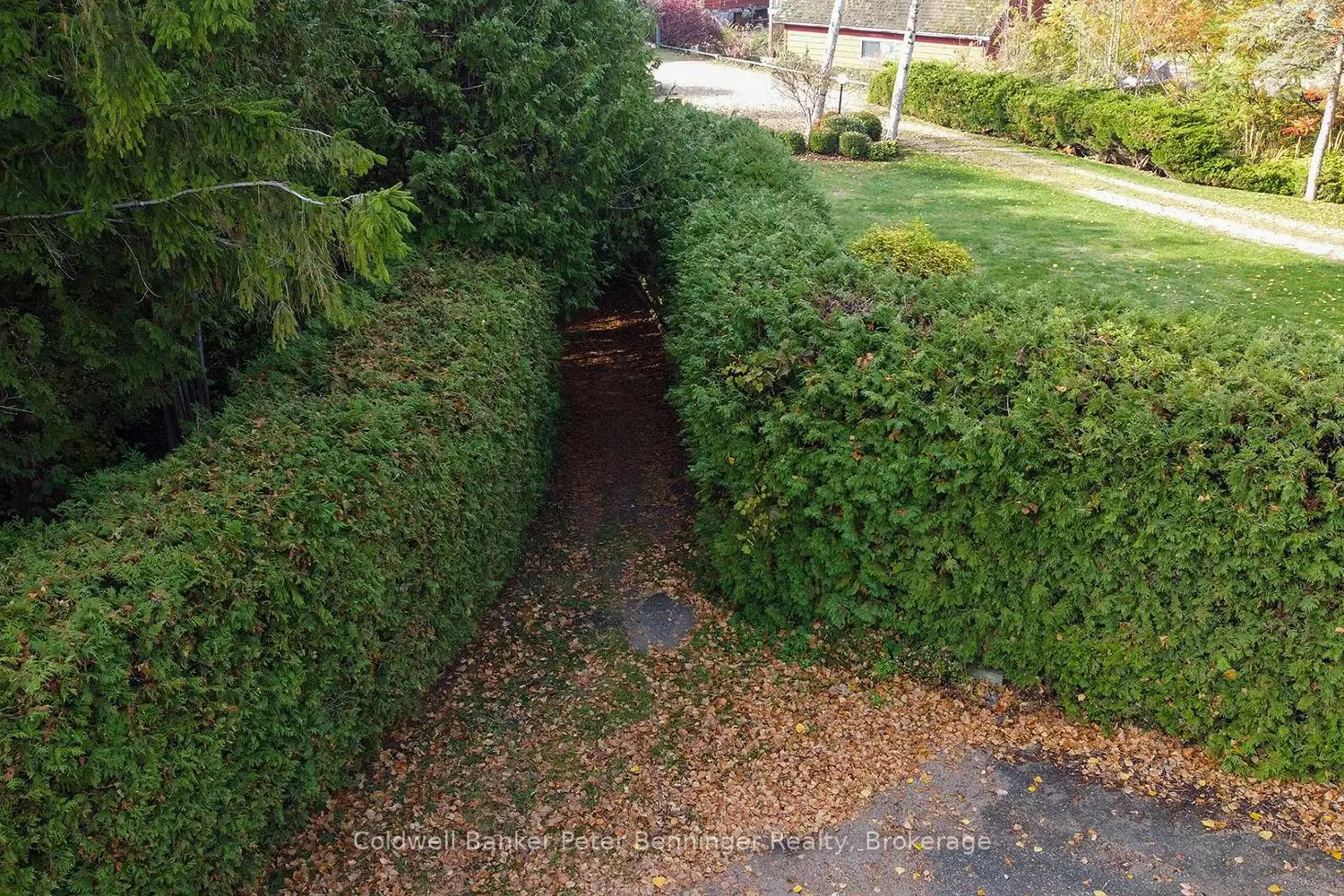 Additional image 8 of Lt 17 Pl 594 Courtney Court