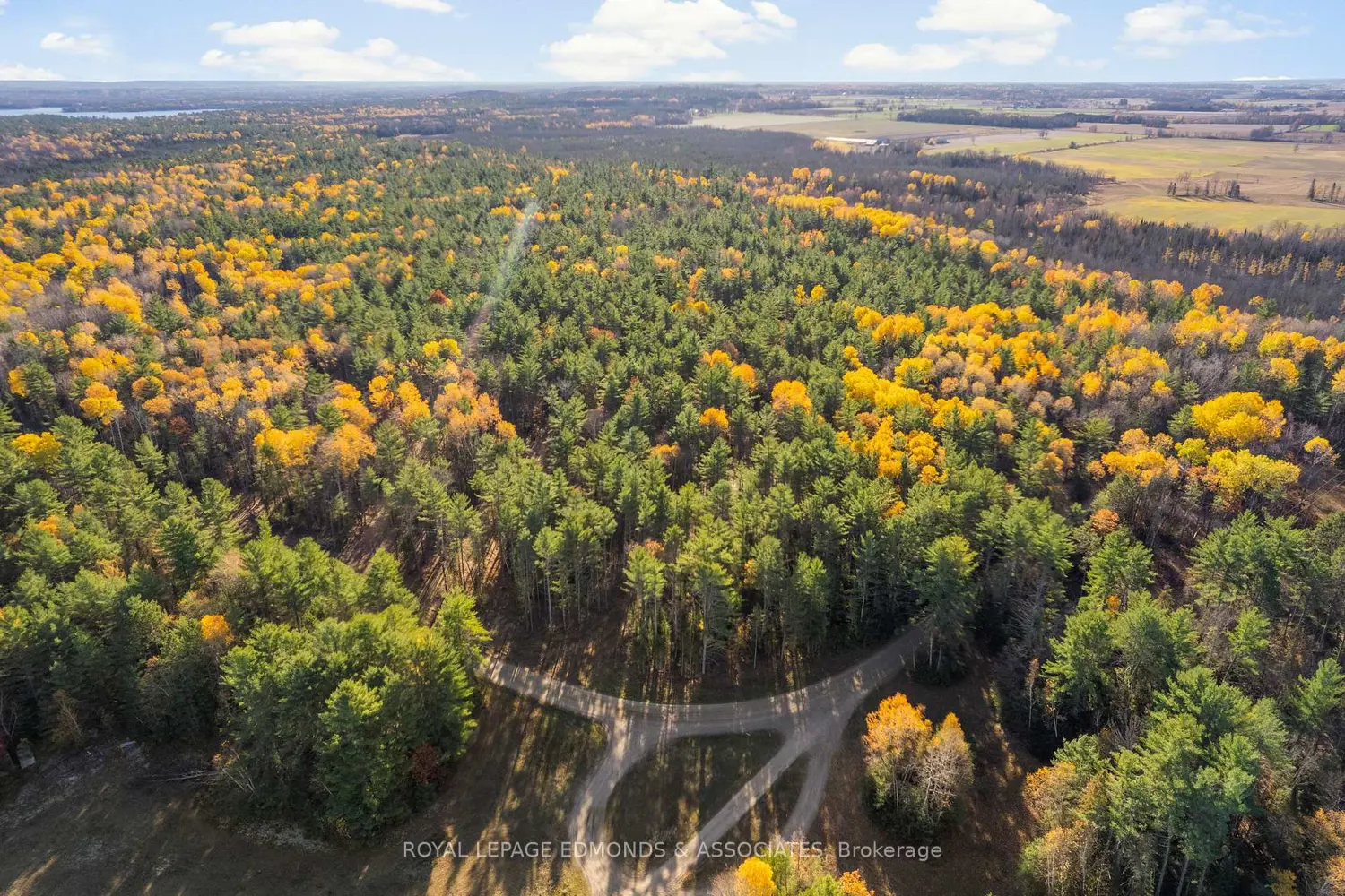 Additional image 10 of 100 Nangor Trail