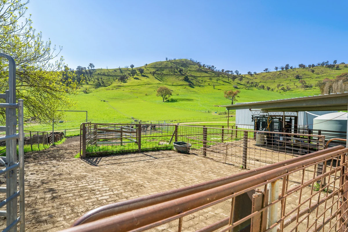 Additional image 19 of 12 Evans Road, Cudgewa VIC 3705