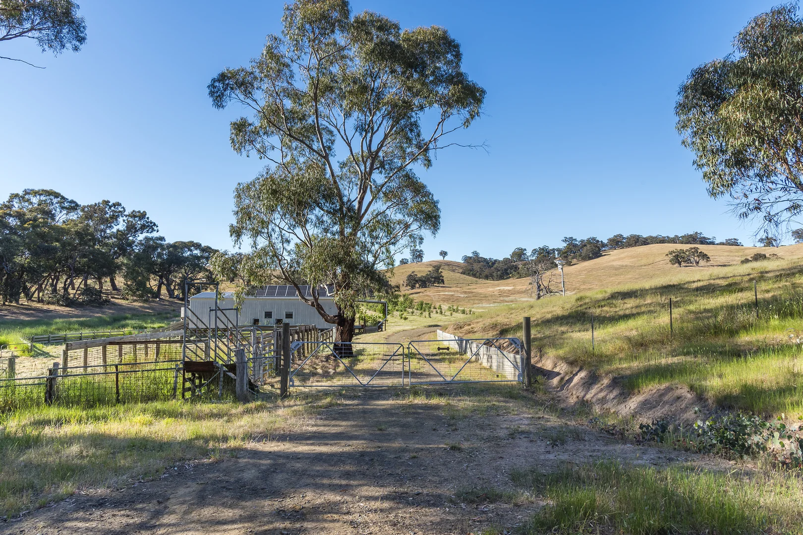 Additional image 9 of 679 Dallistons Road, Barfold VIC 3444