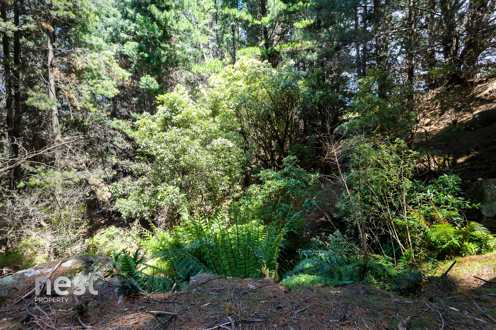 Additional image 27 of 464 German Town Road, St Marys TAS 7215