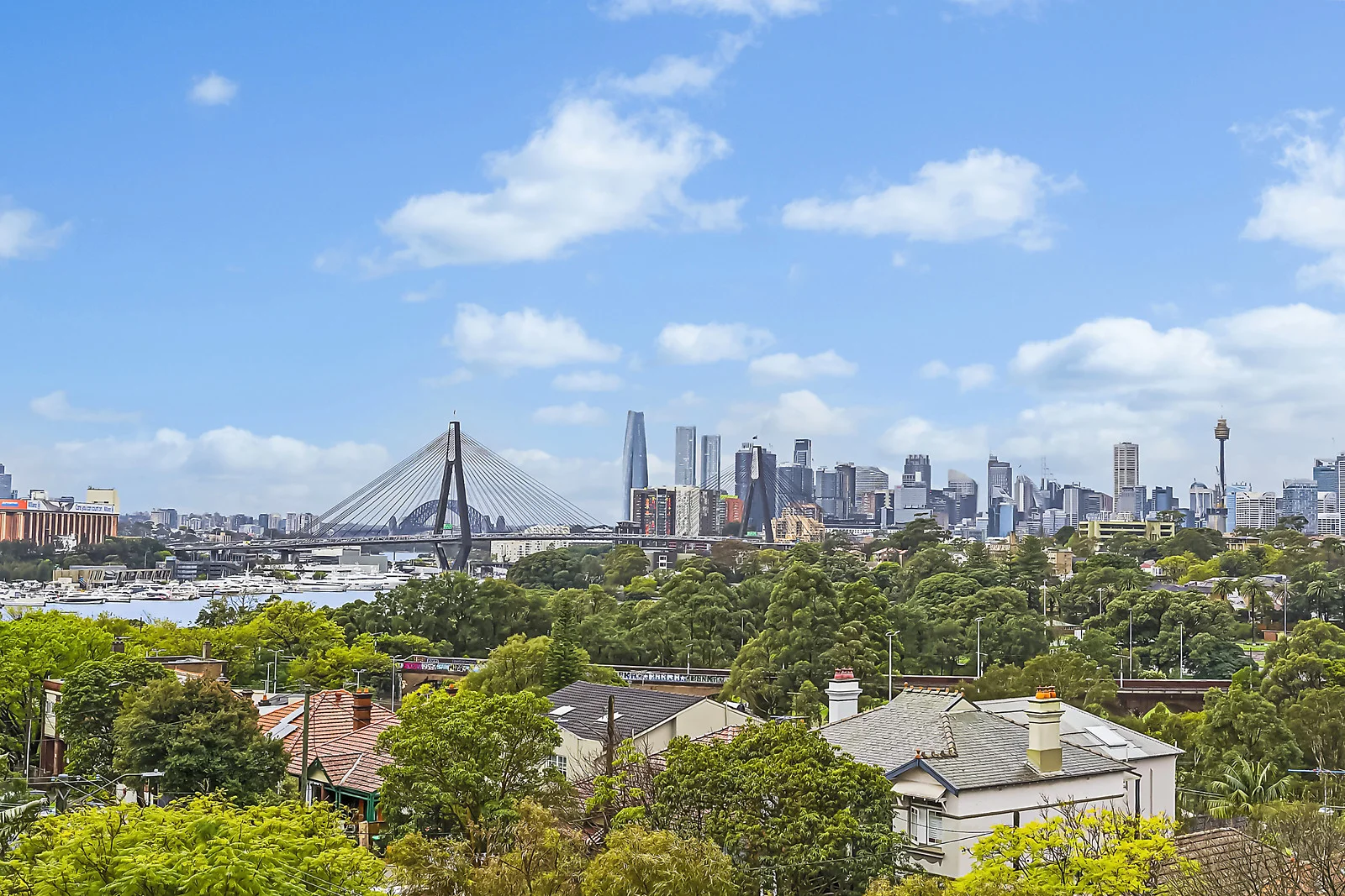 Additional image 15 of 262 Johnston Street, Annandale NSW 2038