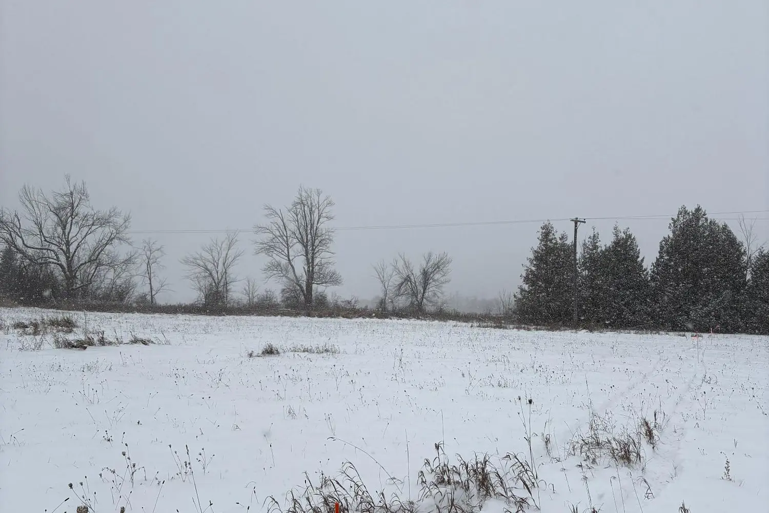 Additional image 6 of 0 Douro Third Line