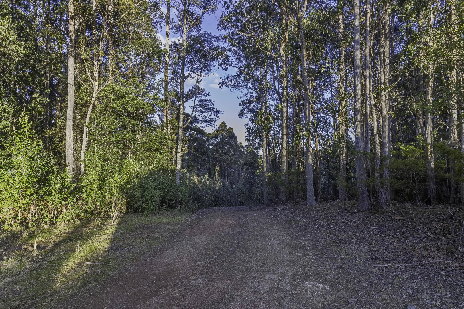 Additional image 10 of Franklin TAS 7113