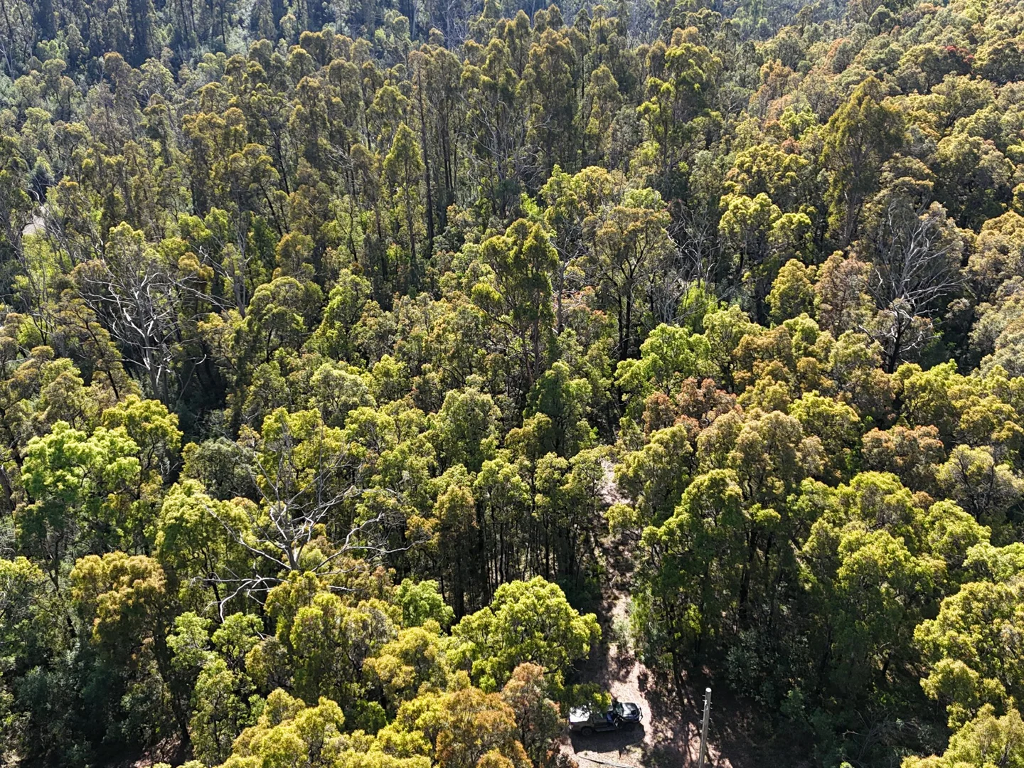 Additional image 8 of Lot 3 DP1128262 Yowrie Road, Yowrie NSW 2550