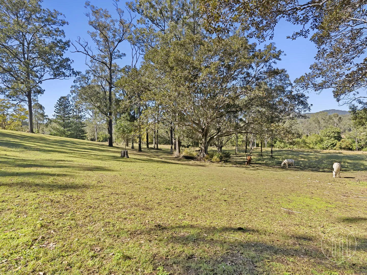 Additional image 25 of 44 Bella Creek Road, Bella Creek QLD 4570