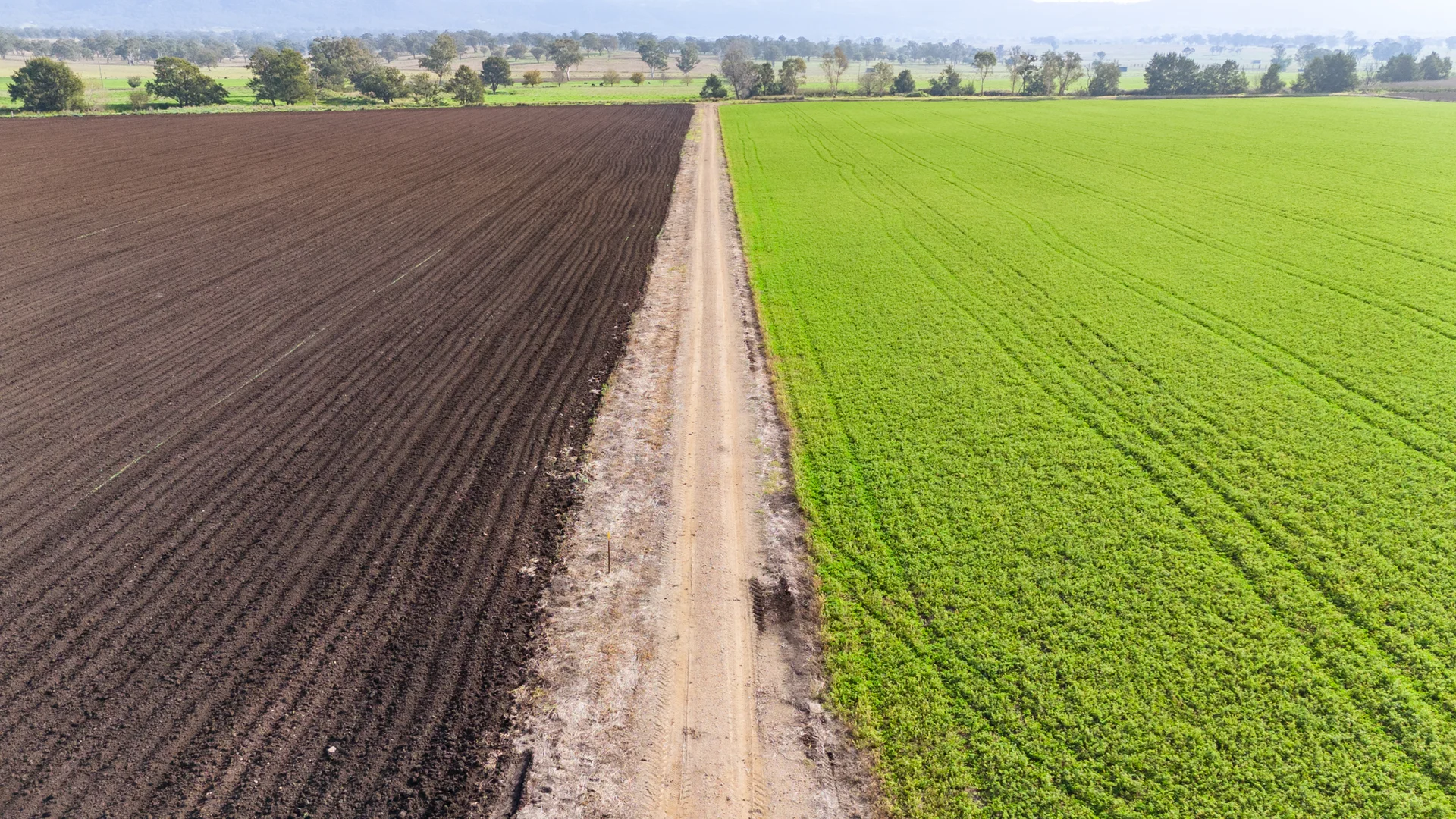 Additional image 7 of 'Billaroy' 395 Turanville Rd, Scone NSW 2337