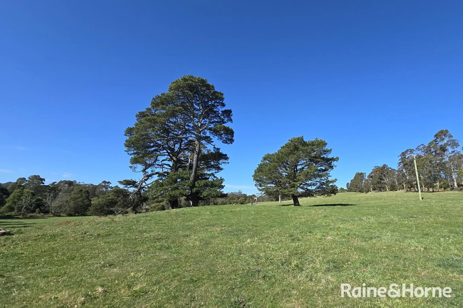 Additional image 38 of 5442 Illawarra Highway, Burrawang NSW 2577