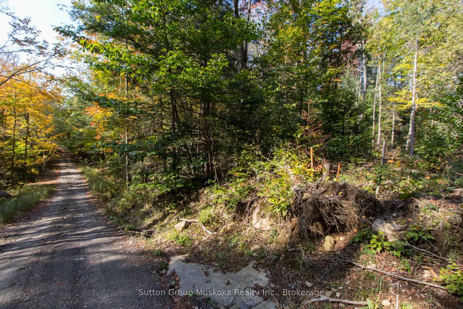 Additional image 2 of 0 Lynx Lake Road